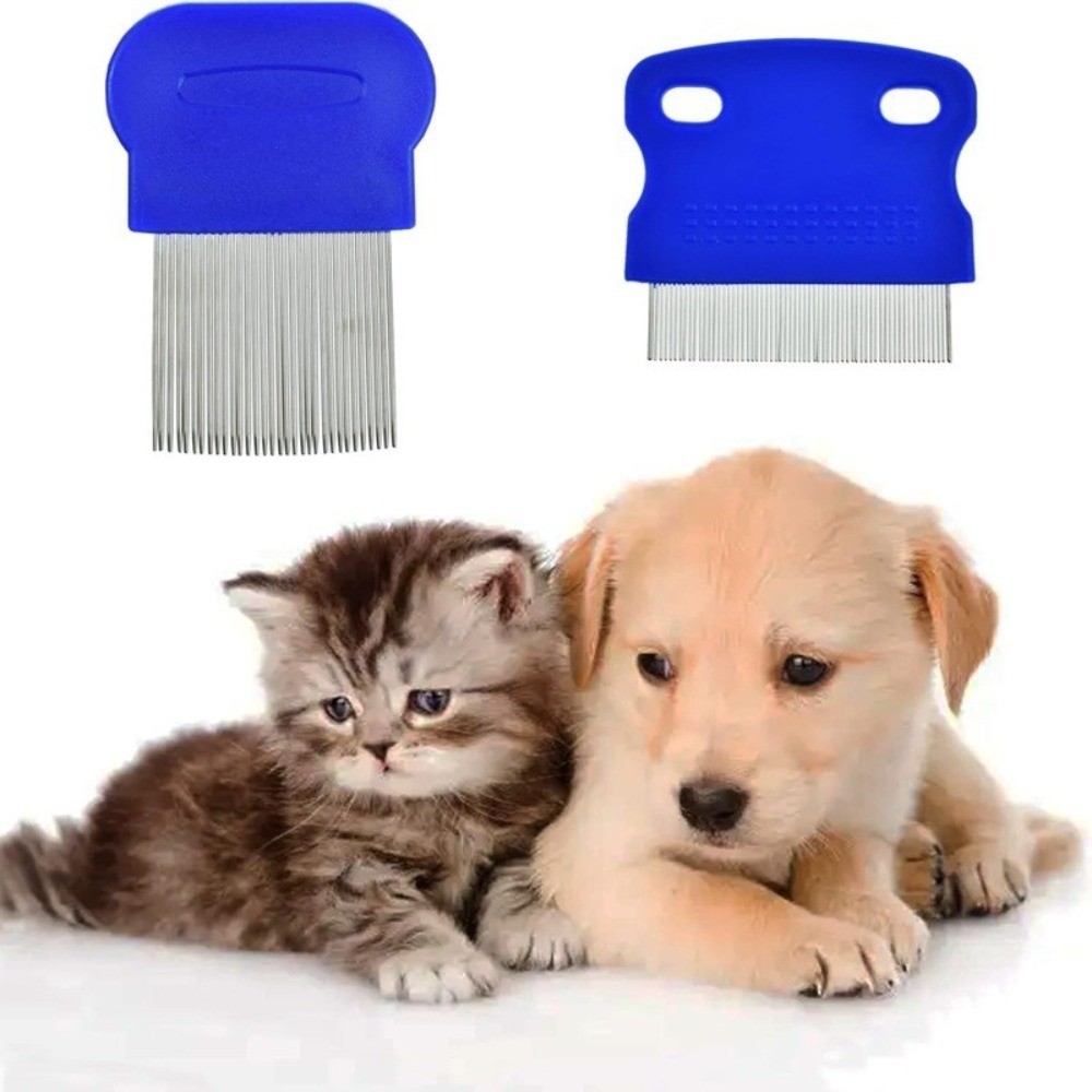 Set di 6 pettini antipulci in  - Comb Fine Tooth recensione e prezzo